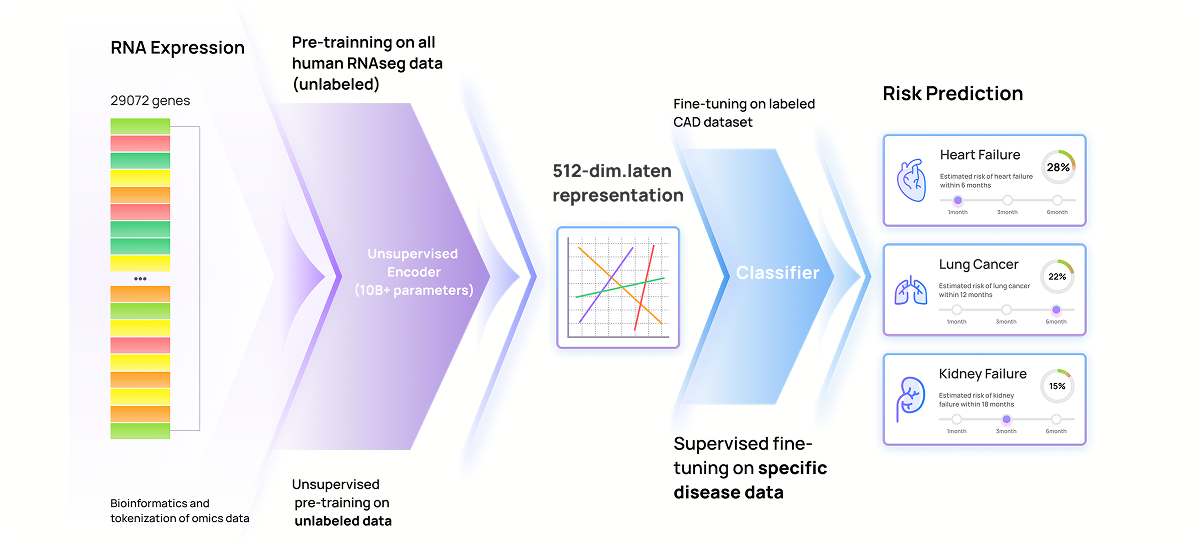 N-Act — RNA Expression to Risk Prediction